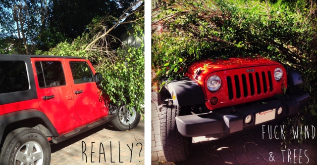 Jeep hit with tree